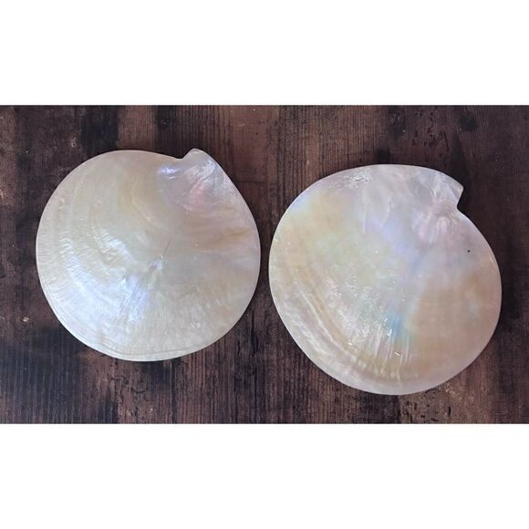 MCM GOLD Pearl Plate , Mother Of Pearl  Caviar Dish Set of 2 - Picture 3 of 5